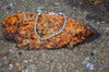 A silver rope chain bracelet on a rock